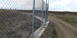 Wire Mesh