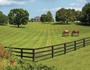 Pasture Management