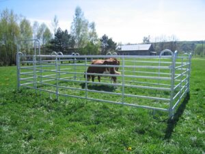 Livestock Fencing