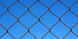 Metal Mesh