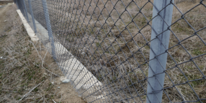metal wire mesh