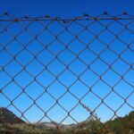 hans-wire-mesh-1117740_1280